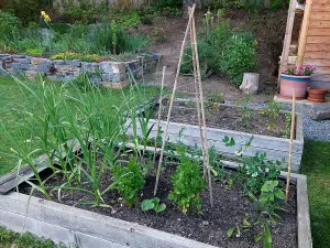 Prodej bytu 3+kk, Brno, 70 m2