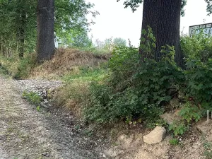 Prodej pozemku pro bydlení, Bavorov, 1396 m2