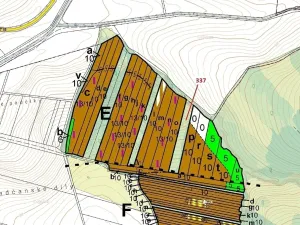 Dražba lesa, Hradčany-Kobeřice, 5963 m2