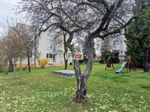 Pronájem bytu 2+1, Olomouc - Nová Ulice, Skřivánčí, 72 m2