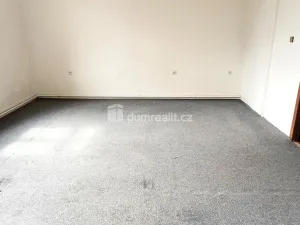 Prodej bytu 2+1, Děčín - Děčín IV-Podmokly, Teplická, 96 m2