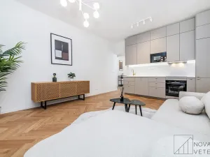 Prodej bytu 4+kk, Brno - Veveří, Nerudova, 85 m2