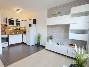 Pronájem bytu 1+kk, Brno, Keřová, 41 m2