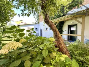 Prodej činžovního domu, Tachov, Dolní Předměstí, 220 m2