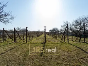 Prodej ubytování, Valtice - Úvaly, 101 m2