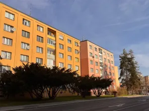 Prodej bytu 1+1, Cheb, Májová, 38 m2