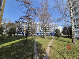 Pronájem bytu 3+1, Praha - Háje, Rašova, 65 m2