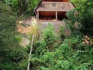 Pronájem - jiné, Němčovice, 55 m2