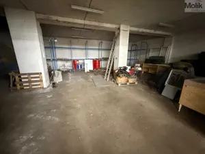 Pronájem skladu, Bílina - Chudeřice, Sadová, 1532 m2