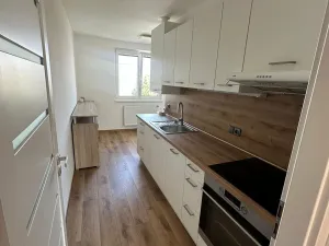 Pronájem bytu 1+1, Znojmo, Pražská, 39 m2