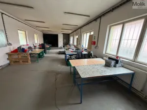 Pronájem výrobních prostor, Bílina - Chudeřice, Sadová, 1532 m2
