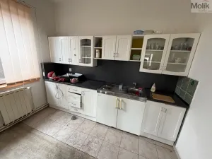 Pronájem výrobních prostor, Bílina - Chudeřice, Sadová, 1532 m2