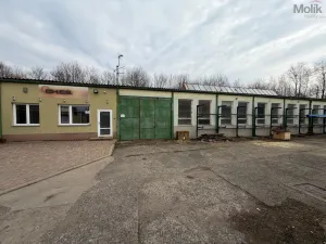 Pronájem výrobních prostor, Bílina - Chudeřice, Sadová, 1532 m2