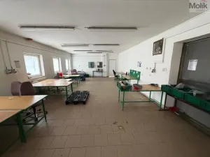 Pronájem obchodního prostoru, Bílina - Chudeřice, Sadová, 1532 m2