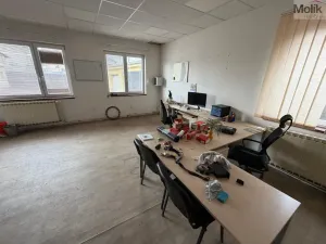 Pronájem obchodního prostoru, Bílina - Chudeřice, Sadová, 1532 m2