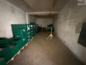 Pronájem obchodního prostoru, Bílina - Chudeřice, Sadová, 1532 m2