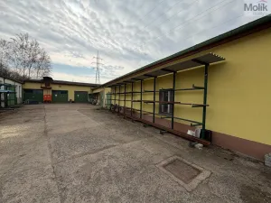 Pronájem obchodního prostoru, Bílina - Chudeřice, Sadová, 1532 m2