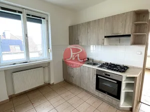 Pronájem obchodního prostoru, Ostrava, Mongolská, 425 m2