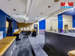 Pronájem obchodního prostoru, Jesenice, Budějovická, 289 m2