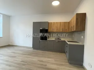 Pronájem bytu 2+kk, České Budějovice - České Budějovice 3, Nová, 52 m2