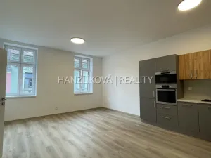 Pronájem bytu 2+kk, České Budějovice - České Budějovice 3, Nová, 52 m2