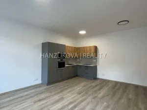 Pronájem bytu 2+kk, České Budějovice - České Budějovice 3, Nová, 52 m2