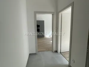 Pronájem bytu 2+kk, České Budějovice - České Budějovice 3, Nová, 42 m2
