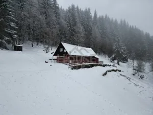 Prodej komerčního pozemku, Malá Úpa - Dolní Malá Úpa, 9164 m2