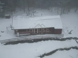 Prodej komerčního pozemku, Malá Úpa - Dolní Malá Úpa, 9164 m2