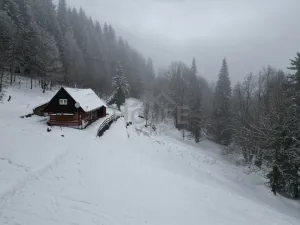 Prodej komerčního pozemku, Malá Úpa - Dolní Malá Úpa, 9164 m2