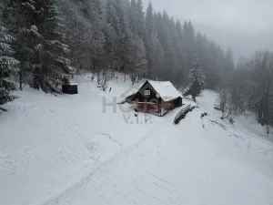 Prodej komerčního pozemku, Malá Úpa - Dolní Malá Úpa, 9164 m2