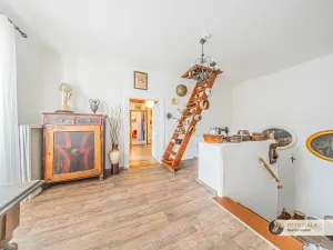 Prodej chalupy, Vraný, 133 m2