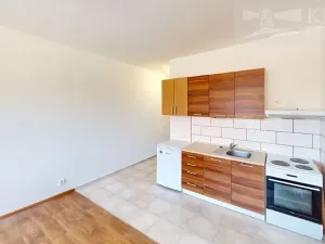 Prodej bytu 1+kk, Příbram, Jana Drdy, 30 m2