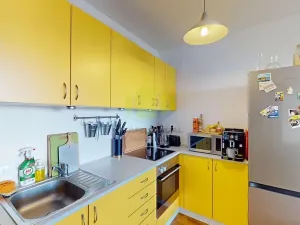 Pronájem bytu 1+kk, Olomouc, Jeremiášova, 32 m2