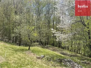 Prodej rodinného domu, Spálov, 250 m2