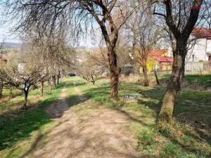 Prodej pozemku pro bydlení, Záhorovice, 2619 m2