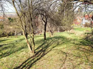 Prodej pozemku pro bydlení, Záhorovice, 2619 m2