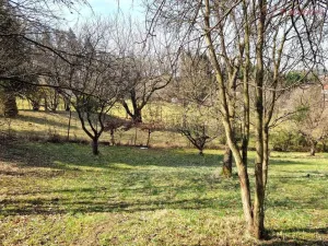 Prodej pozemku pro bydlení, Záhorovice, 2619 m2