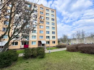 Pronájem bytu 2+1, Ústí nad Labem - Střekov, Nová, 60 m2