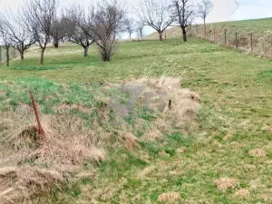 Prodej pozemku pro bydlení, Police, 1266 m2