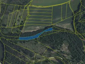 Prodej pozemku, Volfířov - Brandlín, 5958 m2