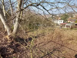 Prodej pozemku pro bydlení, Markvartovice, Dlouhá, 900 m2