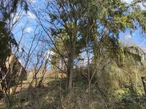 Prodej chalupy, Jickovice, 70 m2