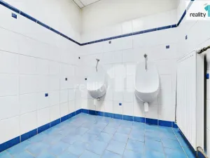 Prodej komerční nemovitosti, Napajedla, 2. května, 4196 m2