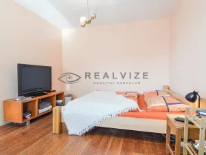 Prodej bytu 1+1, České Budějovice, Větrná, 38 m2