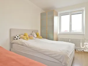 Prodej bytu 2+kk, Brno - Veveří, Dřevařská, 61 m2