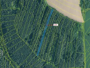 Dražba lesa, Hosty, 1789 m2