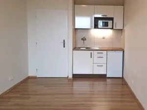 Pronájem bytu 1+kk, Praha - Michle, V dolině, 21 m2