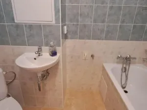 Pronájem bytu 1+kk, Praha - Michle, V dolině, 21 m2