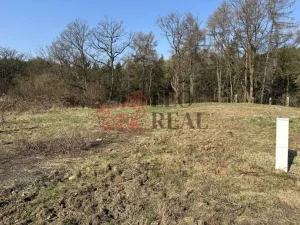 Prodej pozemku pro bydlení, Ludvíkovice, 3129 m2